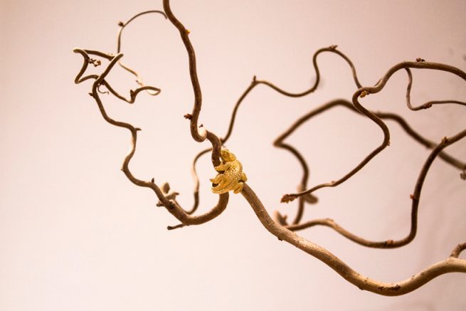 Camaleón Aristocrazy. Conceptualización, idea creativa, dirección de arte.